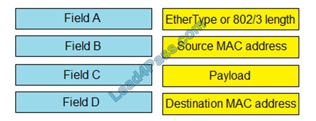 new 010-151 exam questions 11-1