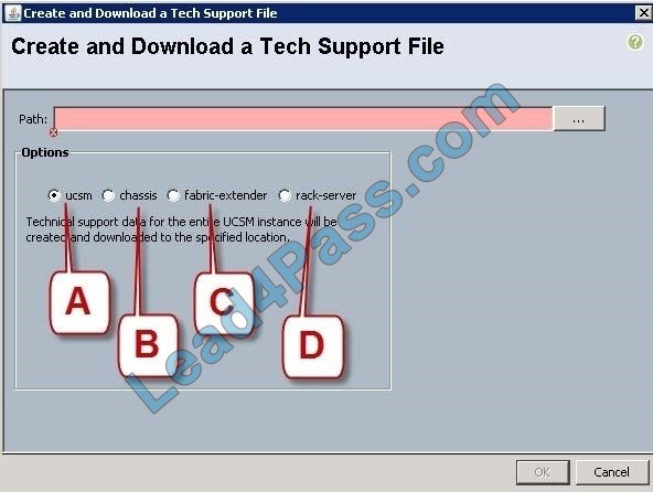 new 010-151 dumps questions 12