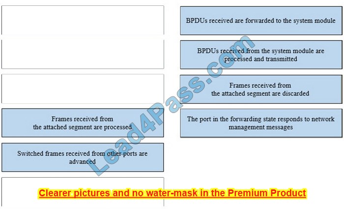 200-301 dumps practice questions 5-1